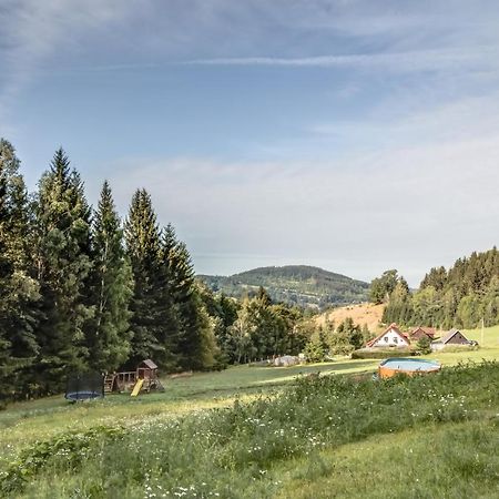 Ski, Hike & Bike Apartman Rokytnice Nad Jizerou Luaran gambar